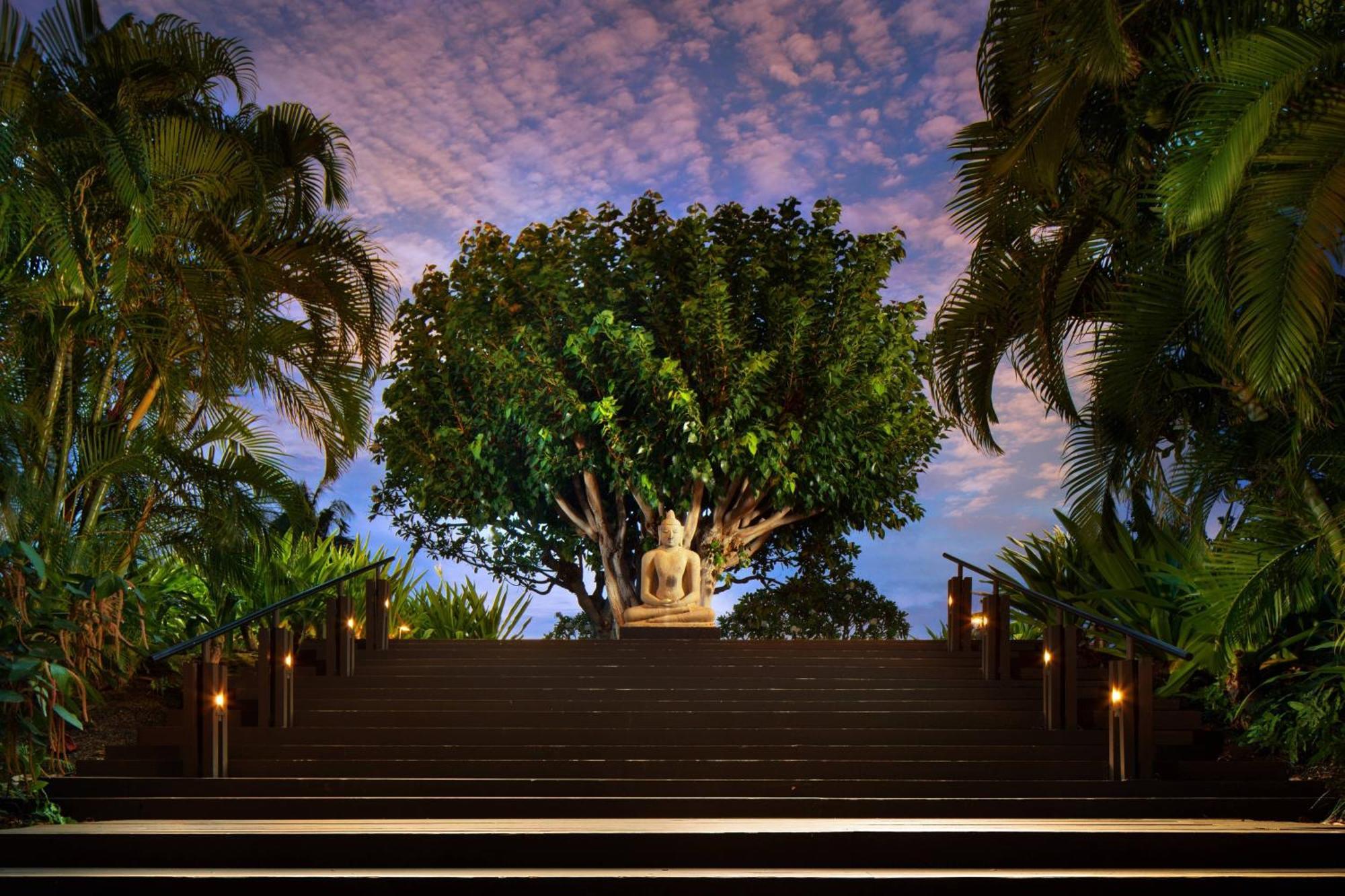 Mauna Kea Beach Hotel, Autograph Collection Kohala Coast Exteriör bild